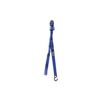 Thule Express Surf Strap